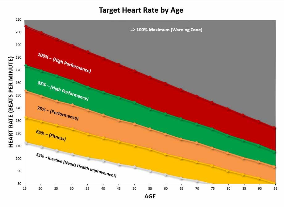 Target heart rate zone chart for fat burn and muscle activation.